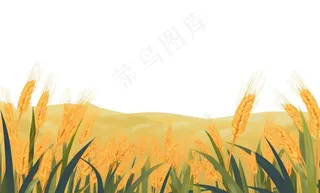 秋季小麦麦穗稻谷麦穗手绘卡通插画免抠