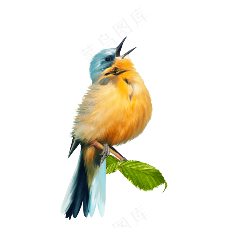 免抠张开嘴的黄色小鸟