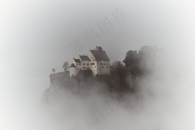 云雾森林图片