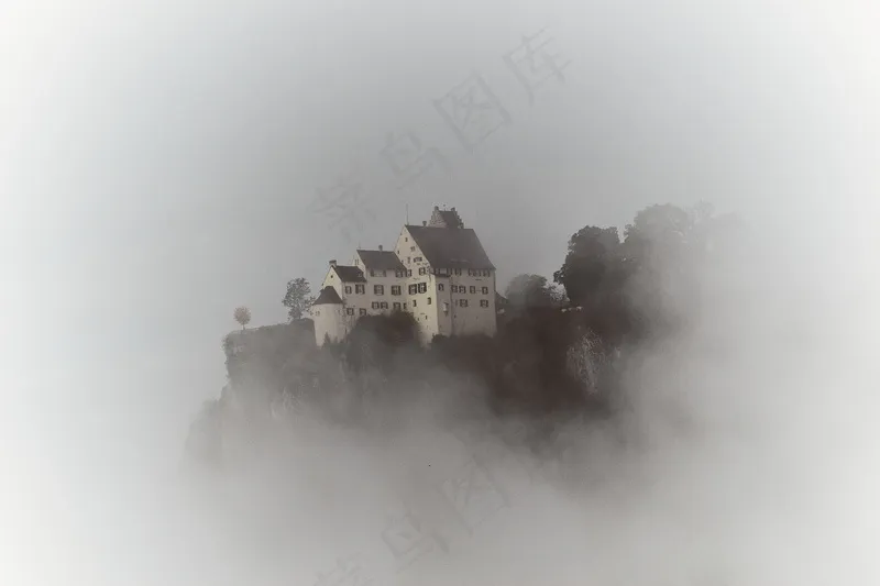 云雾森林图片
