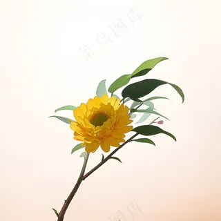 白色黄色手绘新中式风格花植物154