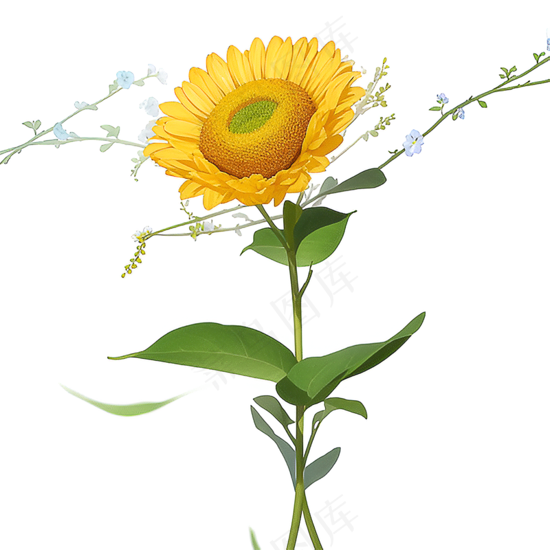 黄色向日葵免抠素材75