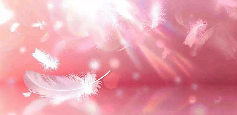 粉色气泡羽毛梦幻情人节七夕插画背景(1568x768)