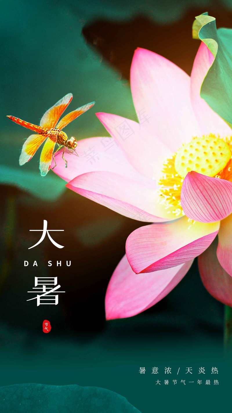 大暑节气传统海报