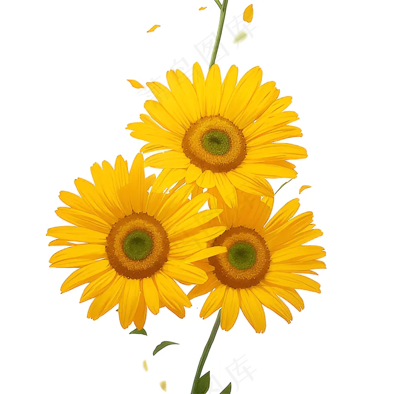 黄色向日葵花朵免抠素材54