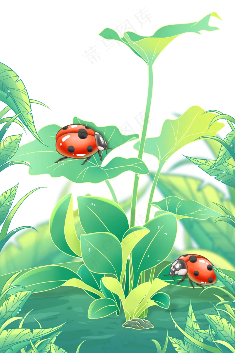 二十四节气惊蛰昆虫植物瓢虫草地
