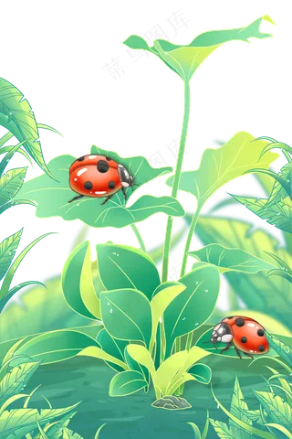 二十四节气惊蛰昆虫植物瓢虫草地