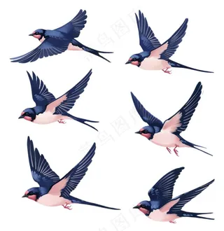 大雁燕子春天鸟元素卡通插画免抠