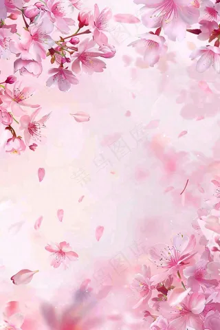 粉色樱花桃花花瓣飘落唯美浪漫春天春分情人七夕背景