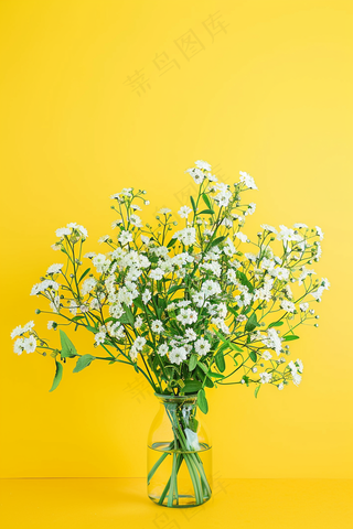 小雏菊白色花朵花瓶黄色背景摄影图