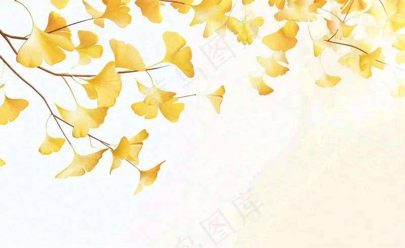 秋天银杏树黄叶落叶立秋秋分手绘插画背景(1408x864)
