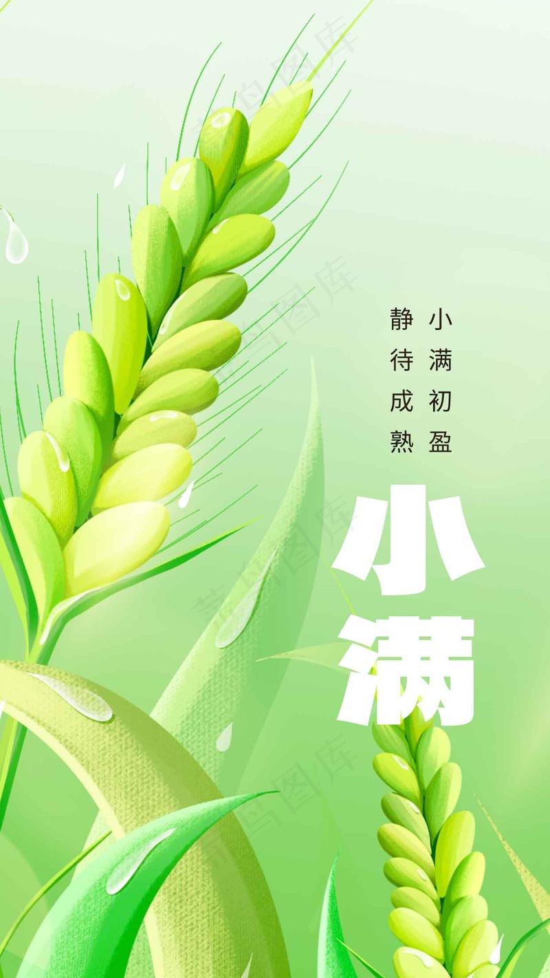 小满节气传统海报psd模版下载