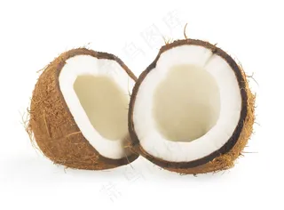 椰子 (16)白底图