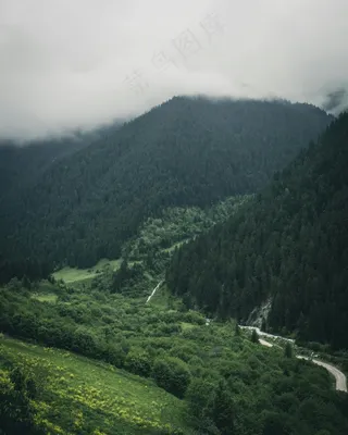云雾缭绕的山谷秘境