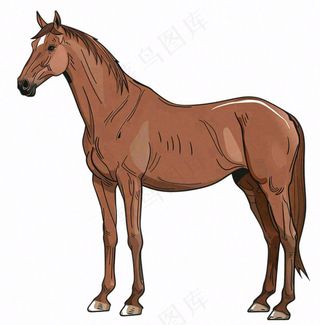 马骏马棕色马匹动物卡通插画免抠