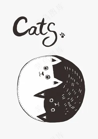 黑白配色 阴阳八卦猫