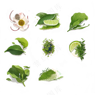 手绘练习小植物花草系列29