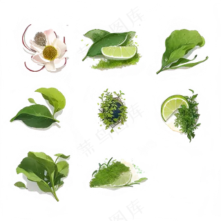 手绘练习小植物花草系列29