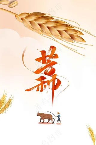 芒种节气传统海报