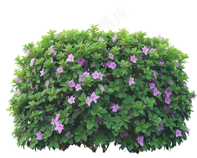 免抠开花灌木