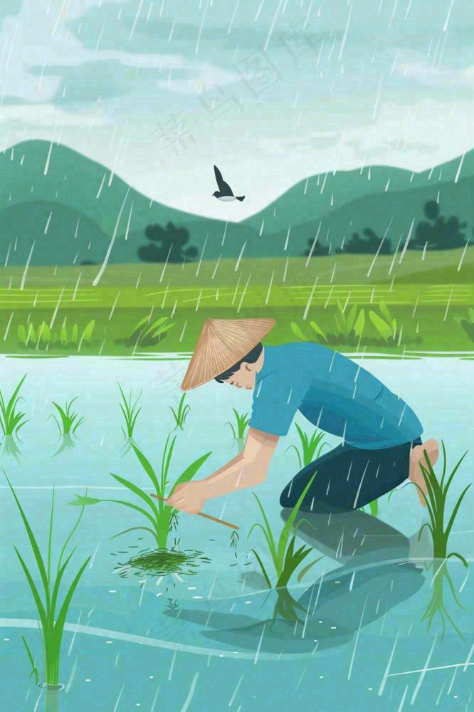 春耕农民种植水稻水田春雨燕子小满芒种春分卡通插画背景(896x1344)