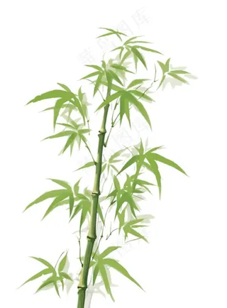 竹子竹叶竹林绿色卡通插画免抠