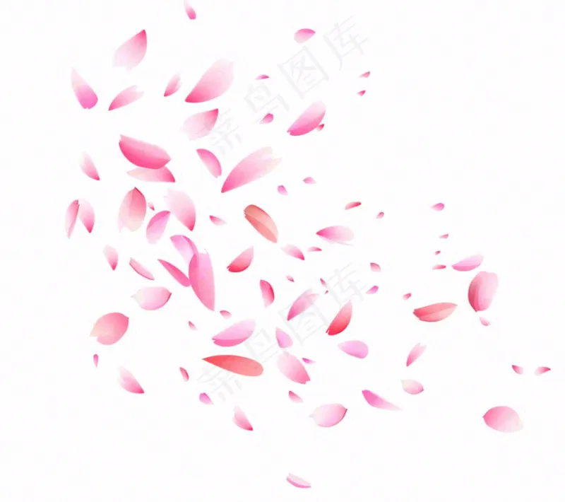 花瓣桃花樱花飘零插画免抠(1152x1024)
