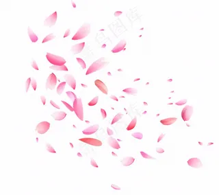 花瓣桃花樱花飘零插画免抠