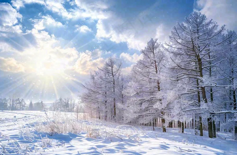冬天白雪覆盖的森林阳光照射大自然雪景大雪小雪冬至摄影图(1344x880)
