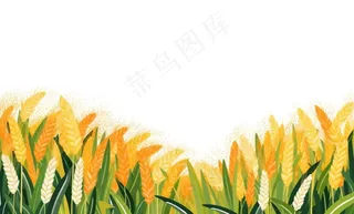 秋季小麦麦穗稻谷麦穗手绘卡通插画免抠