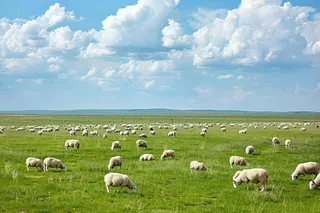 春天草原牛羊内蒙摄影图