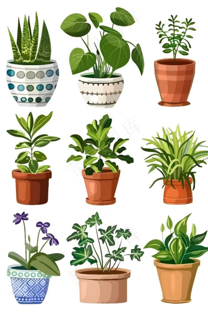 室内盆栽绿植装饰手绘插画免抠(1266x1900)