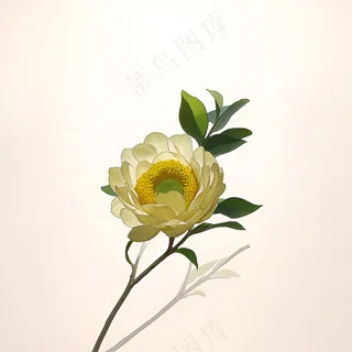 白色黄色手绘新中式风格花植物186
