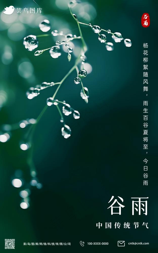 谷雨雨后露水春季节气海报(1000x1598)psd模版下载