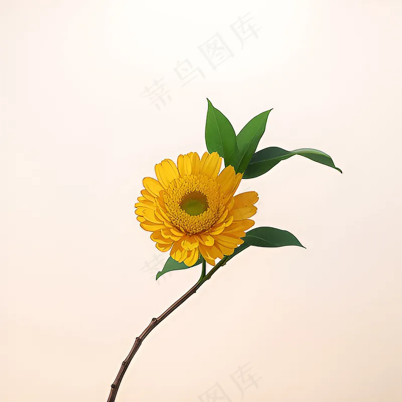 白色黄色手绘新中式风格花植物149