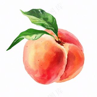 水蜜桃桃子水果水彩插画免抠