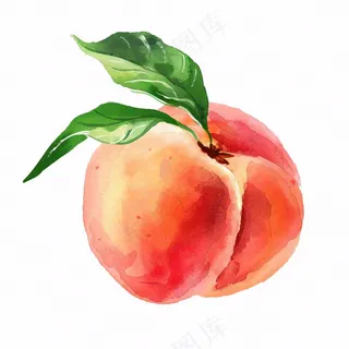 水蜜桃桃子水果水彩插画免抠