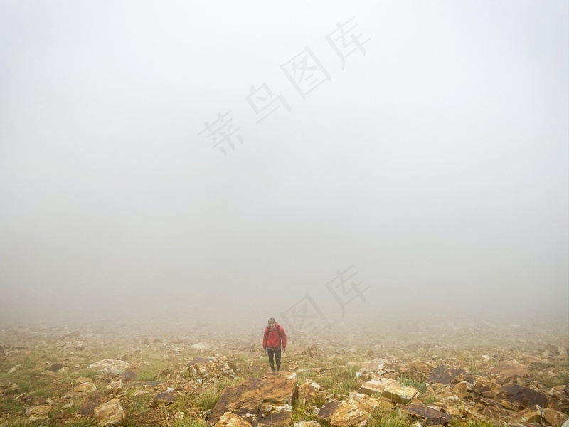 云雾森林图片