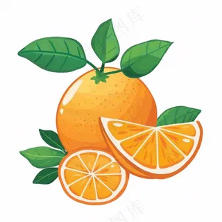 橘子橙子水果卡通插画免抠