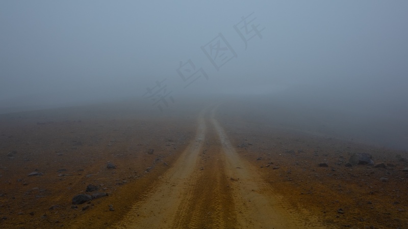 云雾森林图片