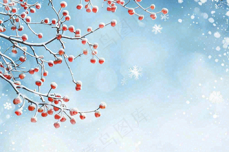 冬天白雪覆盖的红色果实白霜霜降小雪大雪水彩插画背景