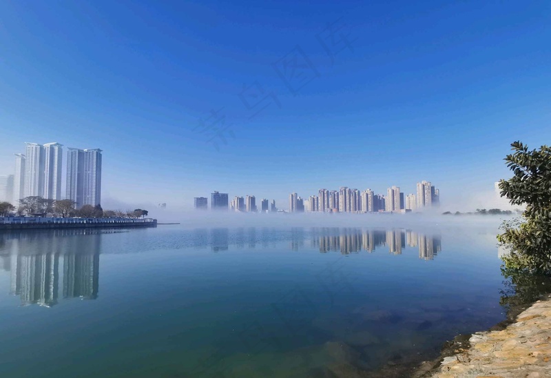 湿地公园看雾景2