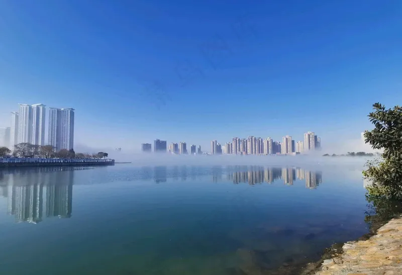 湿地公园看雾景2