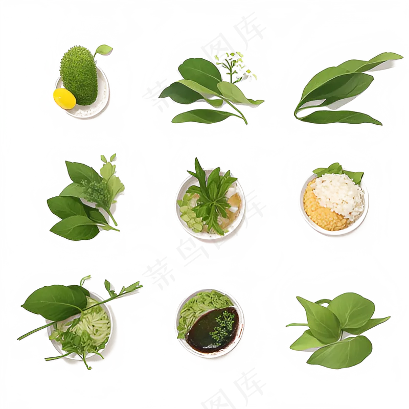 绿色手绘小植物花草系列免抠素材129