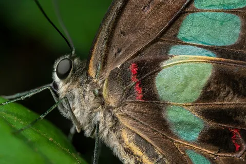 清新自然风，绿意盎然，摄影作品