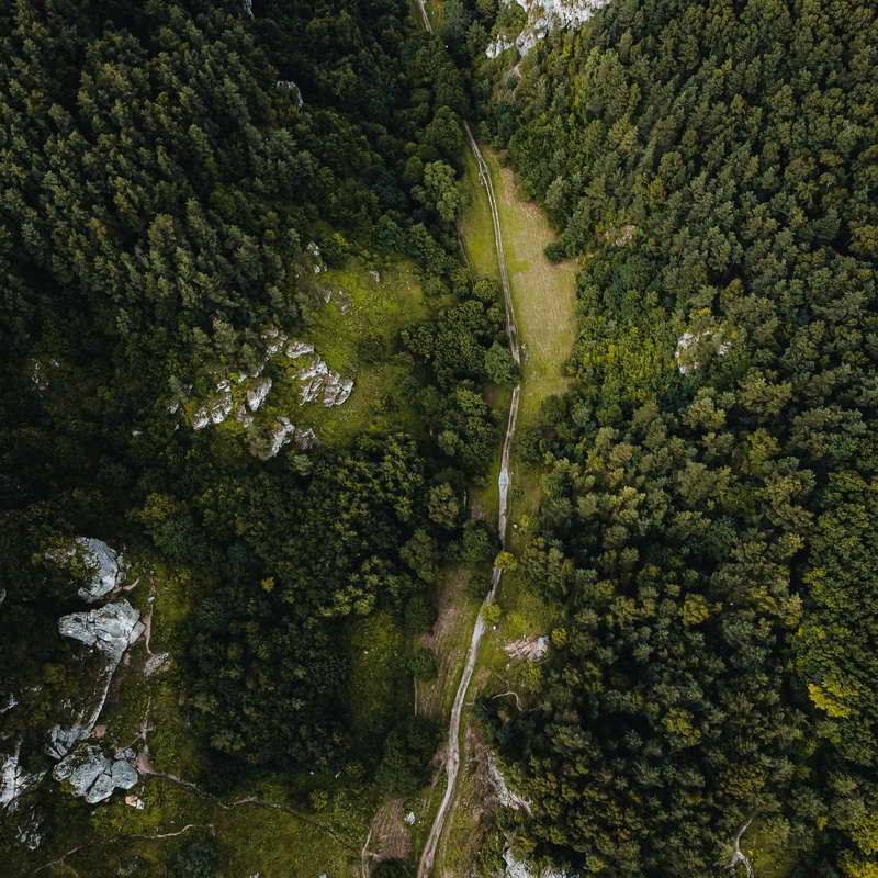 绿色山谷中的蜿蜒小路