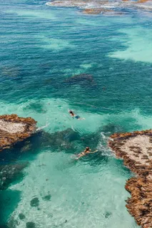 碧海悠游的人们 碧海悠游的人们