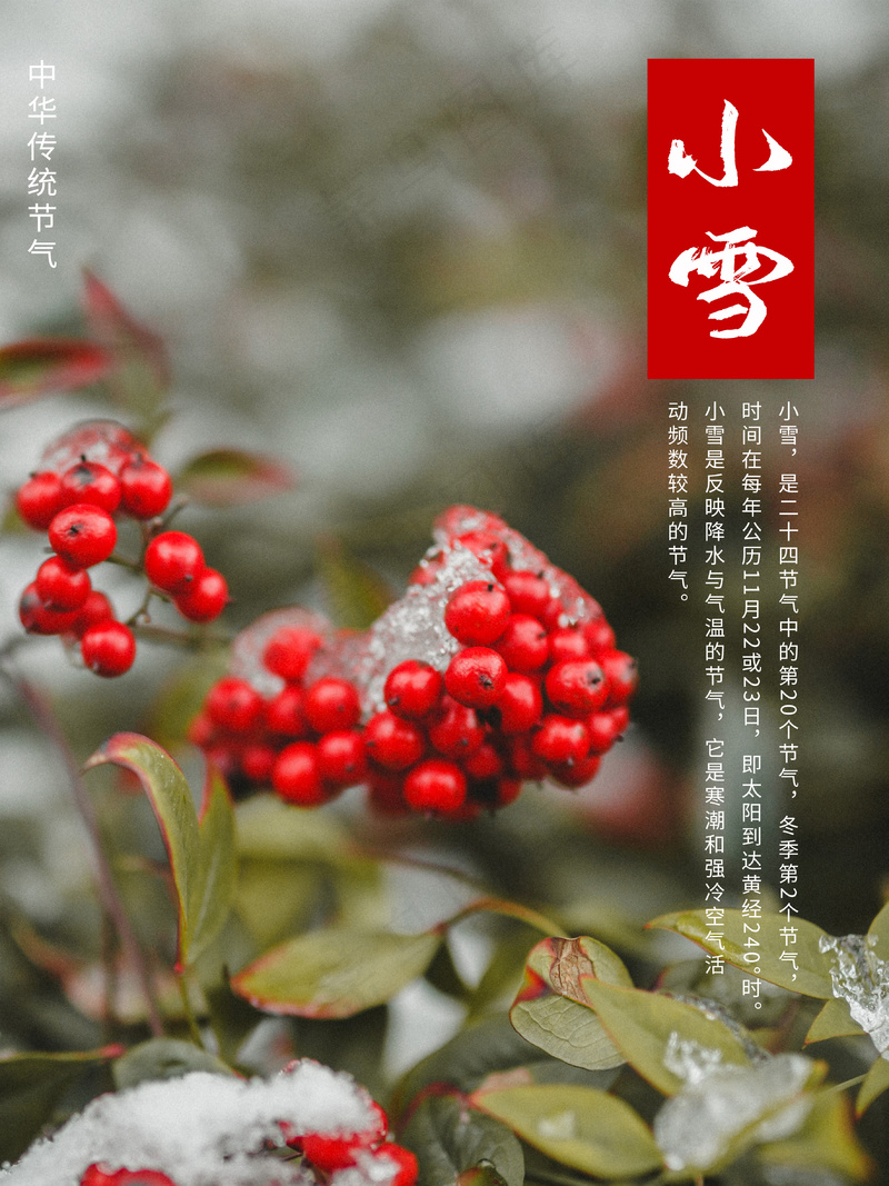 小雪传统24节气海报模板295psd模版下载