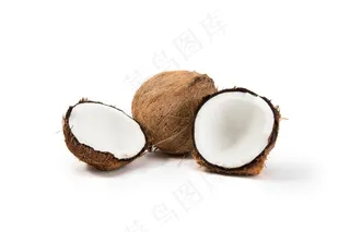 椰子 (3)白底图