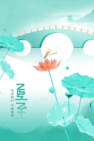 夏至节气传统海报